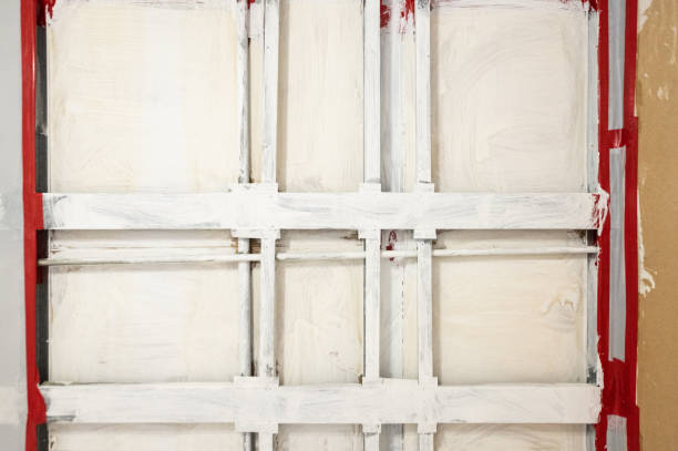 Best Basement Mold Removal  in Big Lake, TX